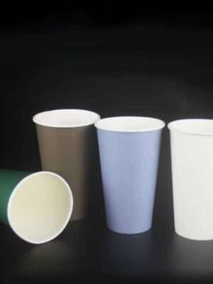 biodegradable disposable paper cups