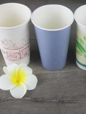 Biodegradable disposable paper cup