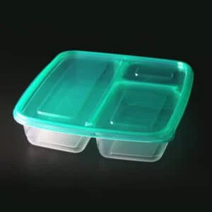 Disposable food container