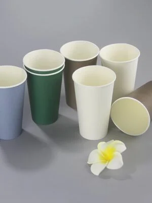 compostable paper cup