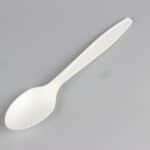 COMPOSTABLE PLA SPOON