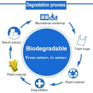 degradation process