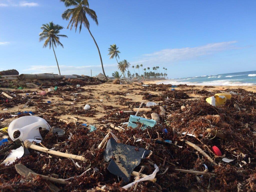 plaste waste on the coastlines across the world