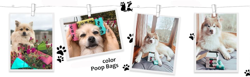 pet dog waste bags