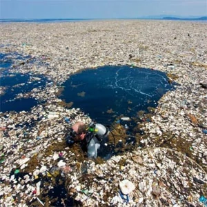 plastic bag pollution